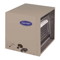 Preview: Carrier CNPHP