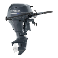 Preview: Yamaha F15B
