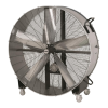 Fan Logo