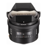 Preview: Sony SAL16F28