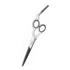 Hair Styler Logo