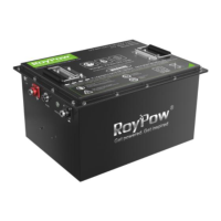 Preview: RoyPow S38105