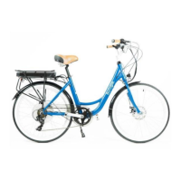 Preview: Boogie Cruiser Bike
