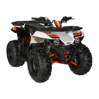 Preview: KAYO MOTOR AU110