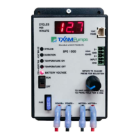 Preview: TXAM Pumps SPC1000