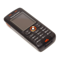 Preview: Sony Ericsson W200i