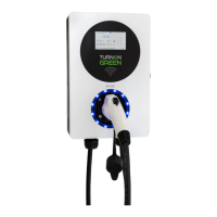 Preview: TurnOnGreen EV700