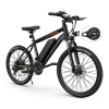 Bicycle Logo