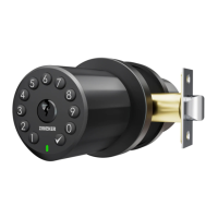 Preview: ZINCKER VAULTA K1