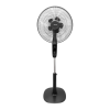 Fan Logo