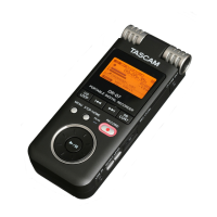 Preview: Tascam DR-07