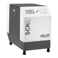 Preview: ALUP Kompressoren SCK 21