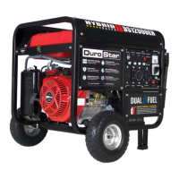 Preview: DuroStar DUAL FUEL DS12000EH