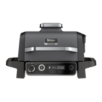 Preview: Ninja WOODFIRE OG700 Series