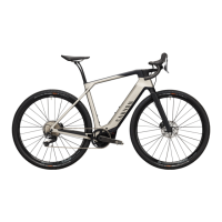 Preview: Canyon GRAIL:ON