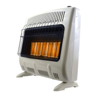 Preview: Mr. Heater MHVFR20TB NG