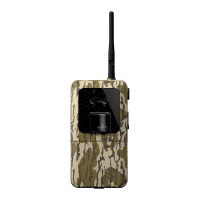 Preview: Wildgame Insite Cell