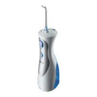 Preview: Waterpik Water Flosser WP-450