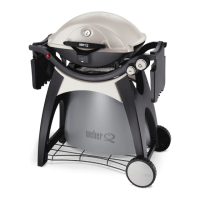 Preview: Weber Q 300