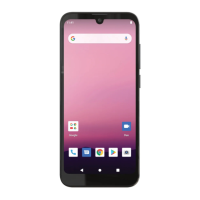 Preview: Orbic Q10