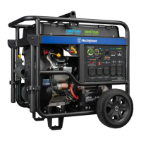 Preview: Westinghouse WGen12000DFc