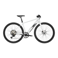 Preview: Canyon ROADLITE:ON R116