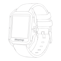 Preview: maxtop T8