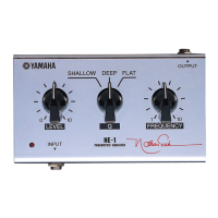 Preview: Yamaha NE-1