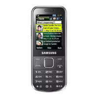 Preview: Samsung GT-C3530