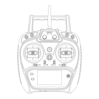 Preview: Wfly RF206S