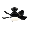 Fan Logo