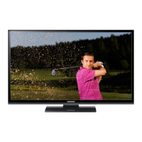 Preview: Samsung PS43E450A1W