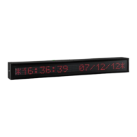 Preview: Ditel DT-203 Series