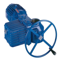 Preview: Flowserve Limitorque L120-85