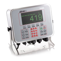 Preview: BTEK T419S