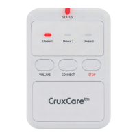 Preview: CruxCare C2