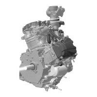Preview: BRP RORAX V-810