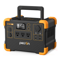 Preview: Pecron E1000 PRO