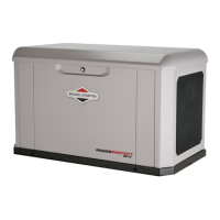 Preview: Briggs & Stratton 040661