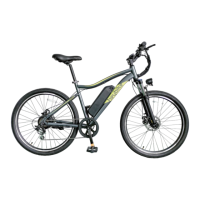 Preview: Heybike Race 26