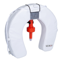 Preview: Seago LIFEBUOY