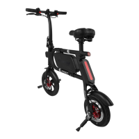 Preview: SWAGTRON SWAGCYCLE PRO SCP-1