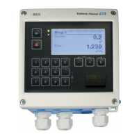 Preview: Endress+Hauser RA33