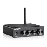 Preview: Aiyima A01 PRO