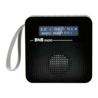 Preview: DAB RADIO SY-8800