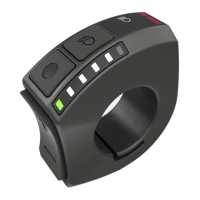 Preview: Brose Display Remote