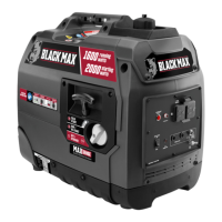 Preview: Black Max BMi2122