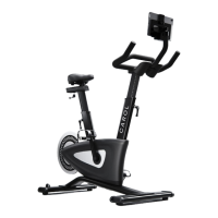 Preview: CAROL BIKE 2.0