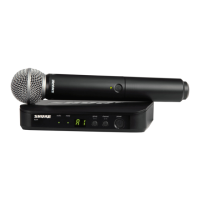 Preview: Shure BLX24R/SM58-H10