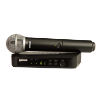 Preview: Shure BLX24E/PG58